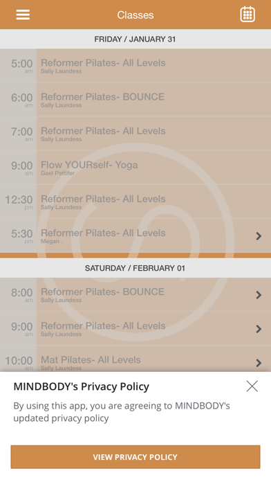 Self Pilates and Wellness screenshot 2
