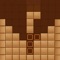 Wood block puzzle is exactly the fun game for you
