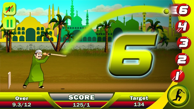 Ramzan Cricket: Champ screenshot-3