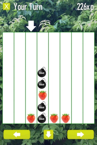 TtFruits screenshot 4