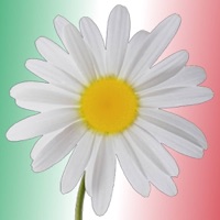 Pizzeria La Margherita sur PC