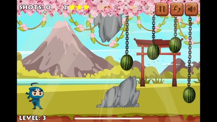 Ninja-Training screenshot-4