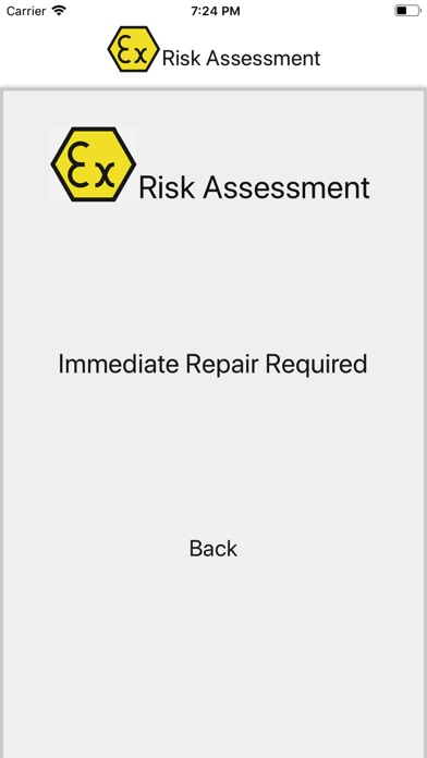 Ex Risk Assessment screenshot 3