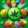 Weed Bubble Shooter Match 3