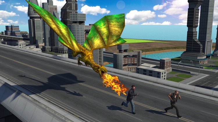 Flying Dragon Clash Simulation
