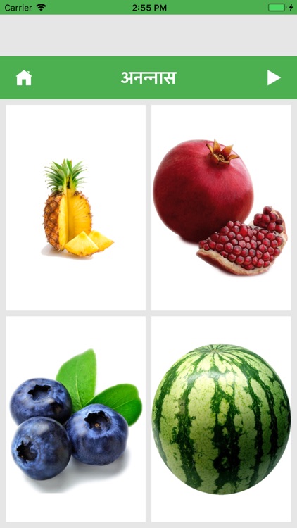 10 lines on watermelon picture