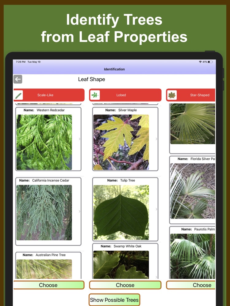 Forest Tree Identification App for iPhone - Free Download Forest Tree