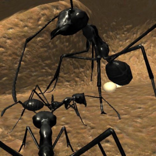 Ant Simulation Full iOS App