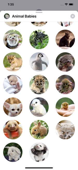 Animal Babies Sticker Pack(圖2)-速報App