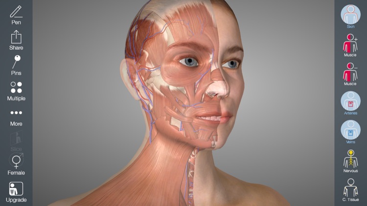 Essential Anatomy 5 by 3D4Medical from Elsevier