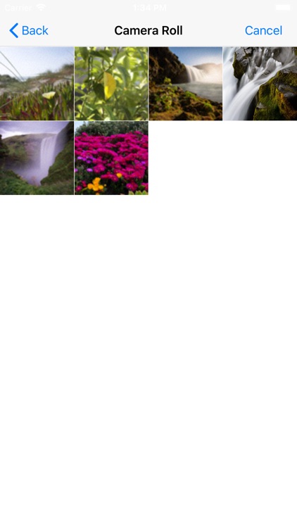 Images Search Tool for Google