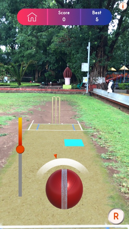 Cricket-AR