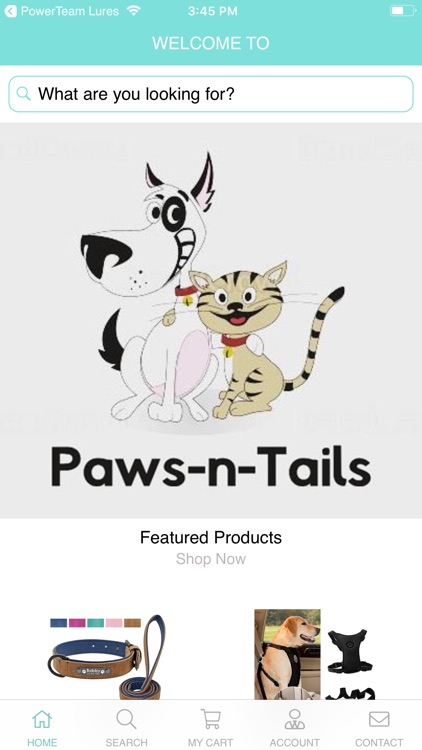 Paws-N-Tails