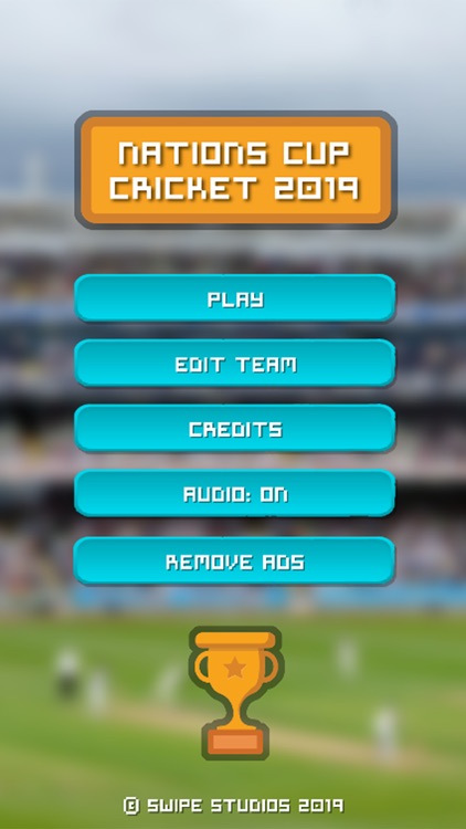 Nations Cup Cricket 2019 screenshot-4