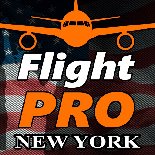 Pro Flight Simulator New York iOS App