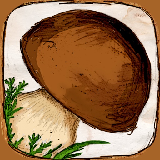 The Mushroom Book
