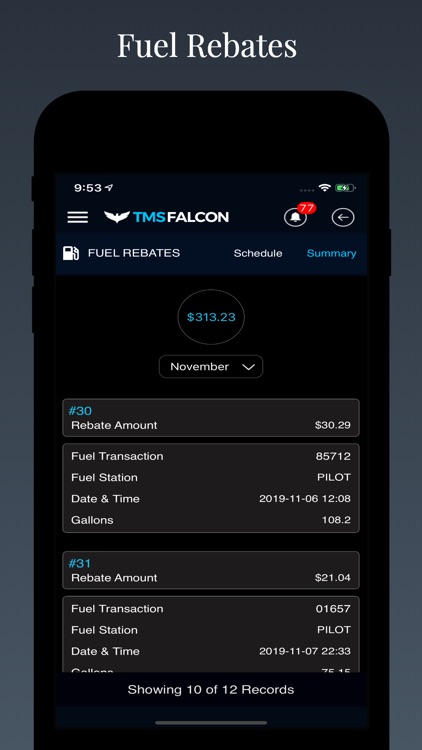 Tmsfalcon