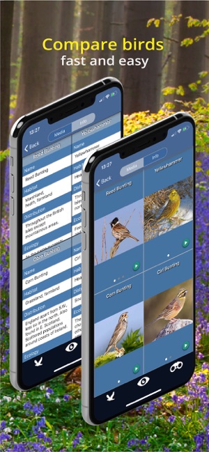 Bird Id - British Isles birds(圖7)-速報App