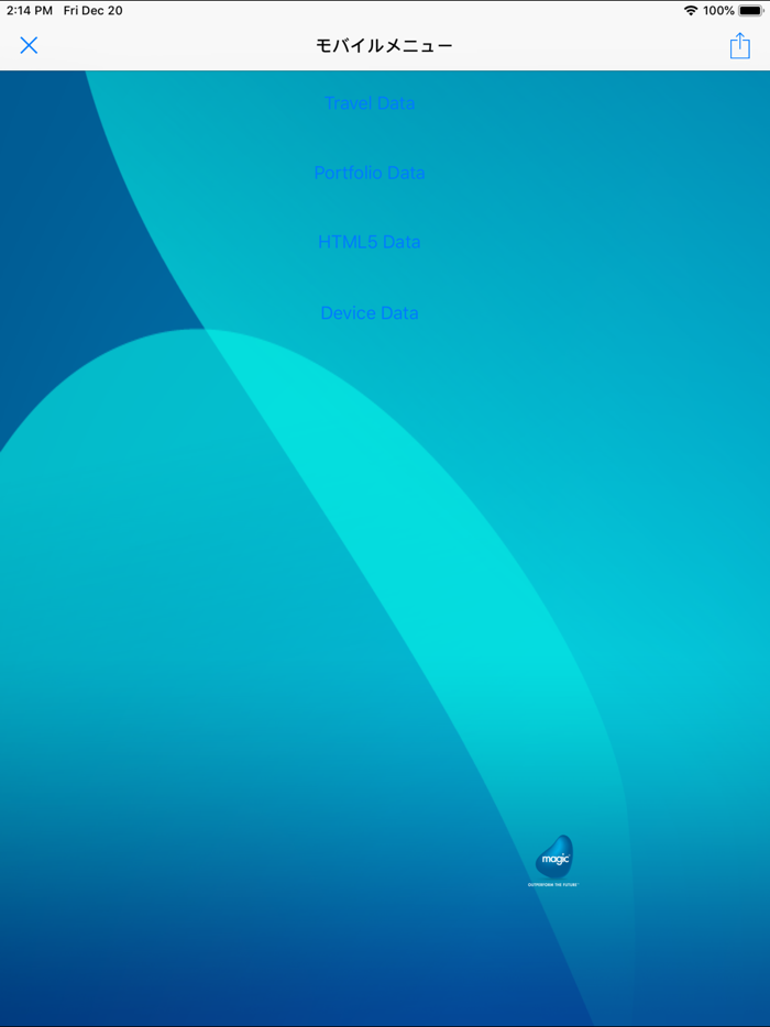 Magic xpa 4.5 Client 日本語版