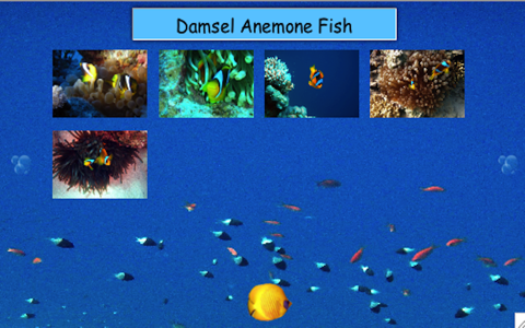 Diving In The Red Sea - náhled
