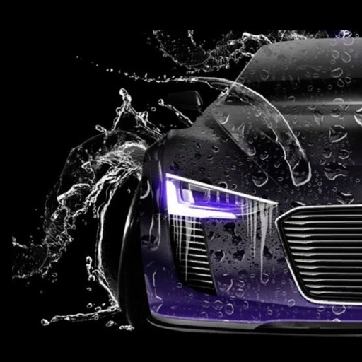 Детейлинг мойка на Дубнинской