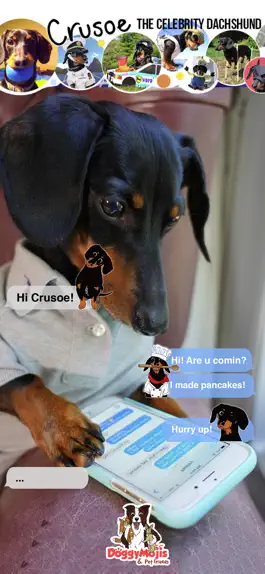 Game screenshot CrusoeMoji - Dachshund sticker mod apk