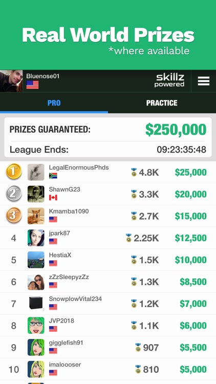 21 Blitz - Solitaire Card Game