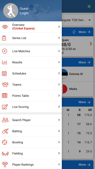 Cricket España screenshot 4