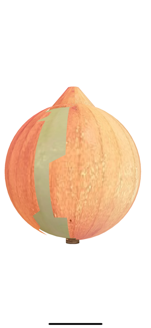 Onion