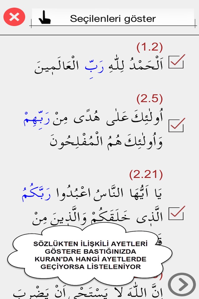 Hasenat Kur'an Araştırma screenshot 2