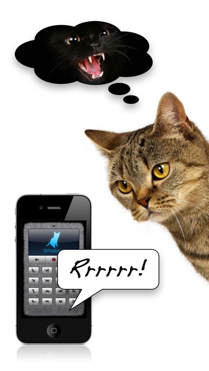 Human-to-Cat Translator