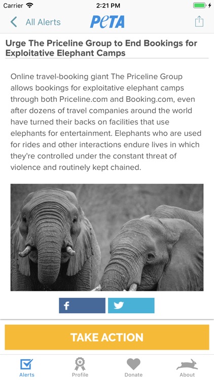 PETA: Saving Animals Made Easy