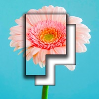 Pictominoes® sur PC