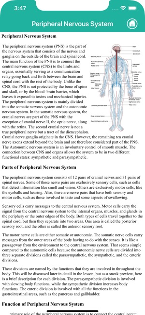 Human Anatomy : Nervous System(圖7)-速報App