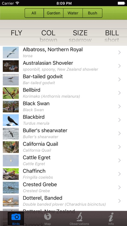 NZBirder