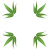 National Cannabinoid Clinics