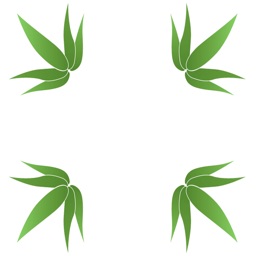 National Cannabinoid Clinics