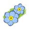 • Handy and quick access to photos and basic information about the most common northern European wildflowers