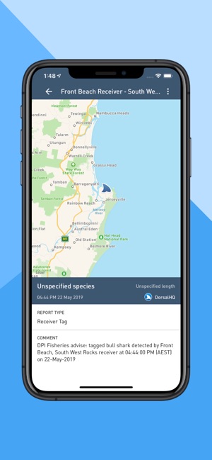 Dorsal Shark Reports(圖3)-速報App