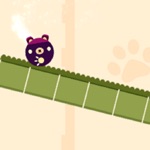 Bear Rolls