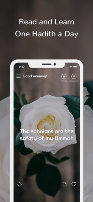 Daily Hadiths - A hadith a day(圖1)-速報App