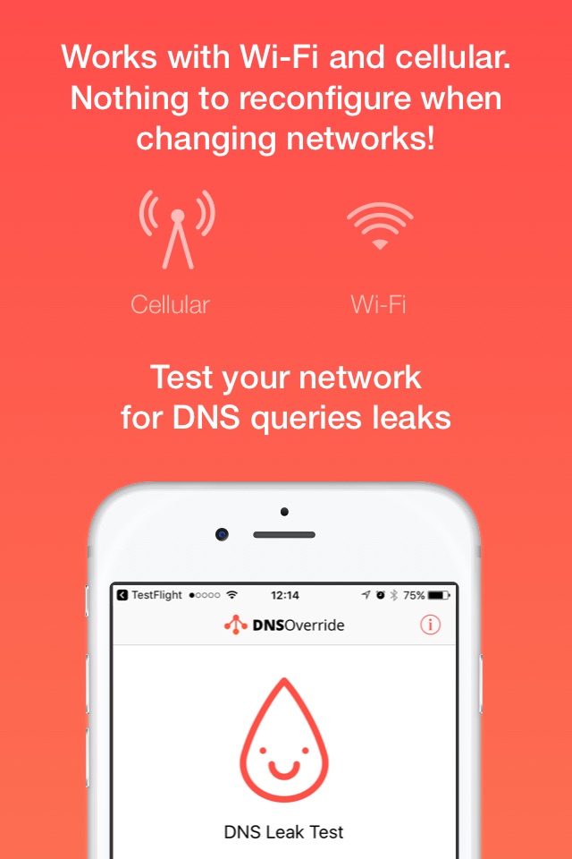 DNS Override screenshot 3