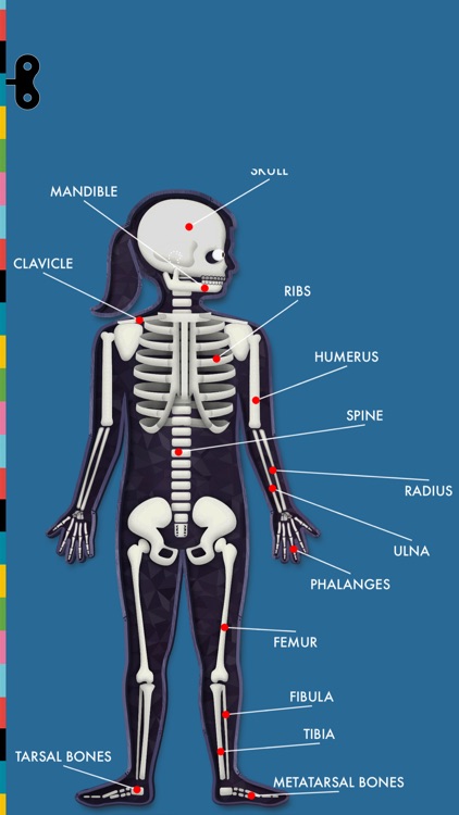 The Human Body by Tinybop screenshot-8