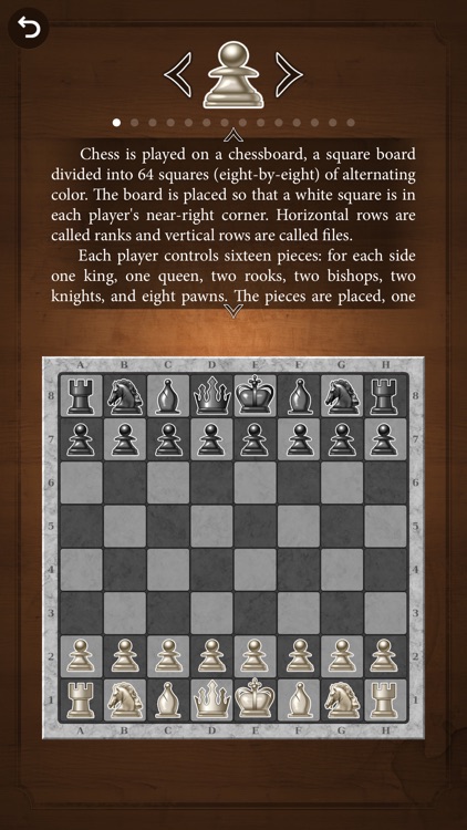 Chess Mess screenshot-5