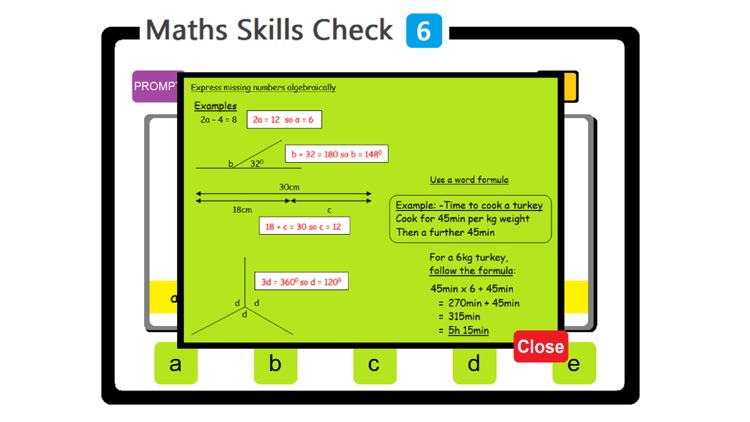 PAM Maths Skills Check 6 screenshot-3