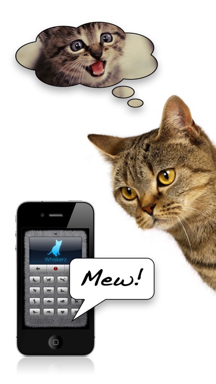 Human-to-Cat Translator screenshot-0