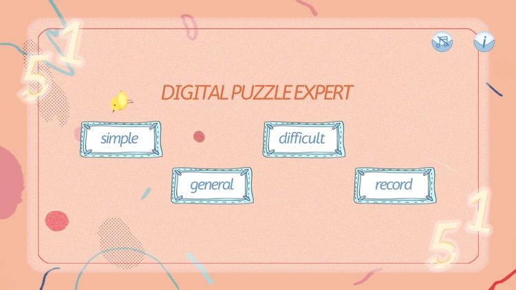 Digital Puzzle Expert