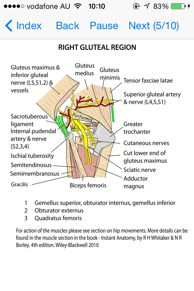 Anatomy Lectures Limbs screenshot 3