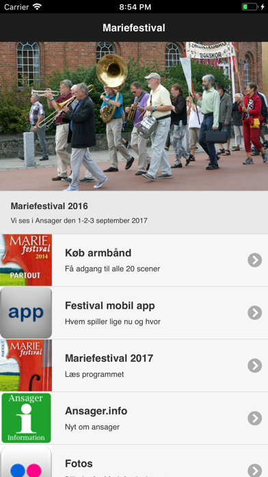Marie Festival screenshot 2