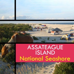 Assateague Island